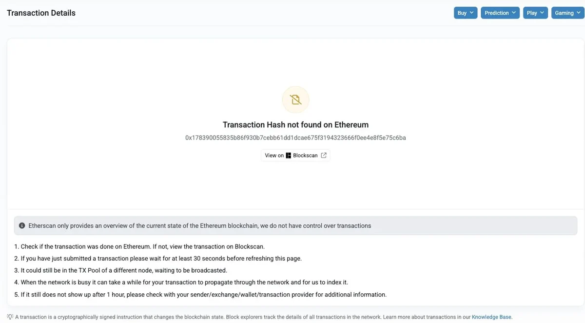 Etherscanでトランザクションハッシュ未検出と表示され、別ノードのTX Poolに残る可能性や索引待ちを案内する公開画面